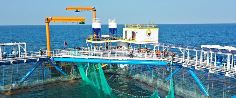 长鲸1号水利投喂系统